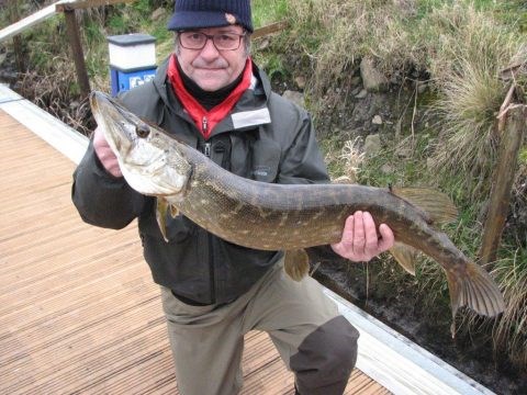 Angling Reports - 15 February 2017